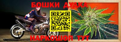 ПСИЛОЦИБИНОВЫЕ ГРИБЫ Будённовск
