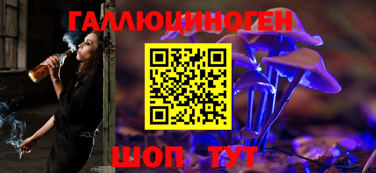 Псилоцибиновые грибы GOLDEN TEACHER Скопин